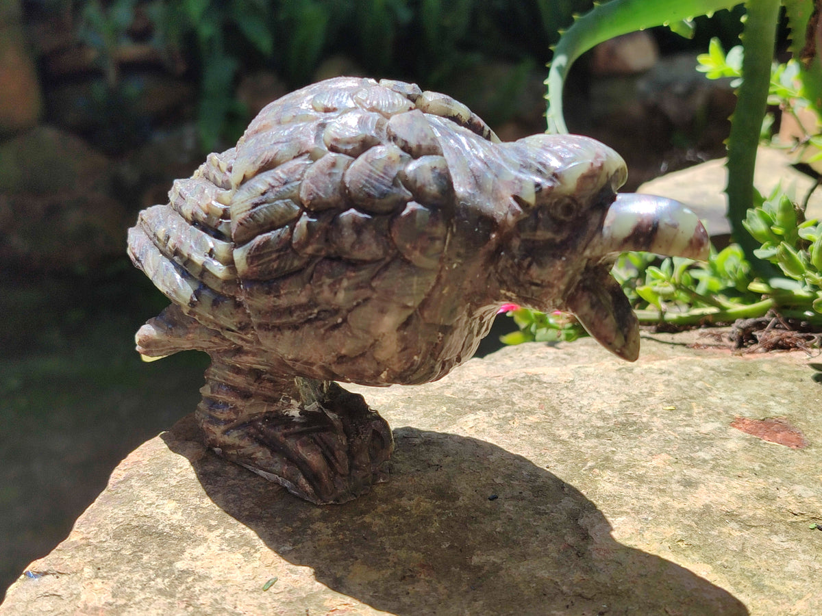 Hand Made Crow Carvings x 2 From Zimbabwe - Toprock Gemstones and Minerals 