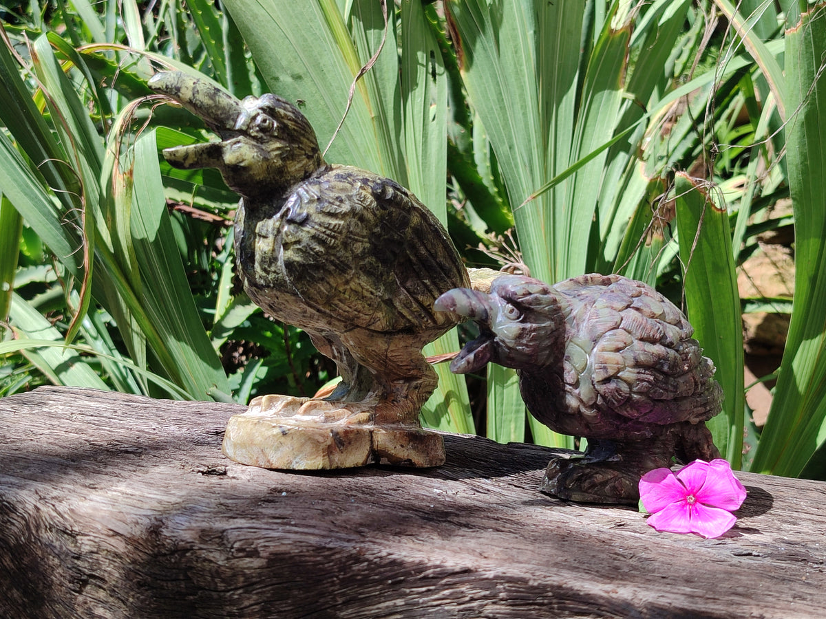 Hand Made Crow Carvings x 2 From Zimbabwe - Toprock Gemstones and Minerals 