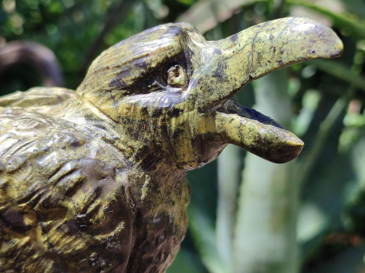 Hand Made Crow Carvings x 2 From Zimbabwe - Toprock Gemstones and Minerals 