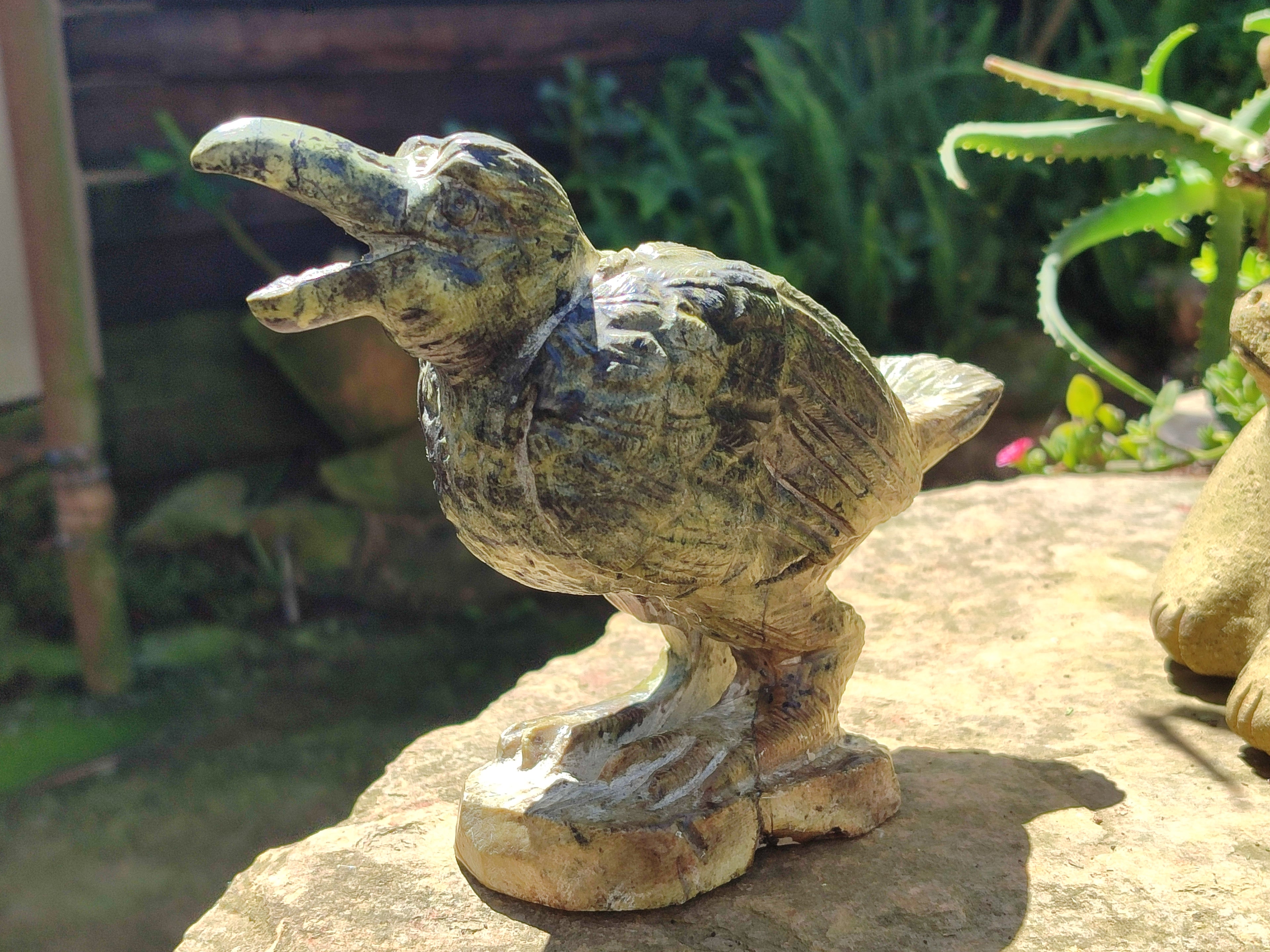 Hand Made Crow Carvings x 2 From Zimbabwe - Toprock Gemstones and Minerals 