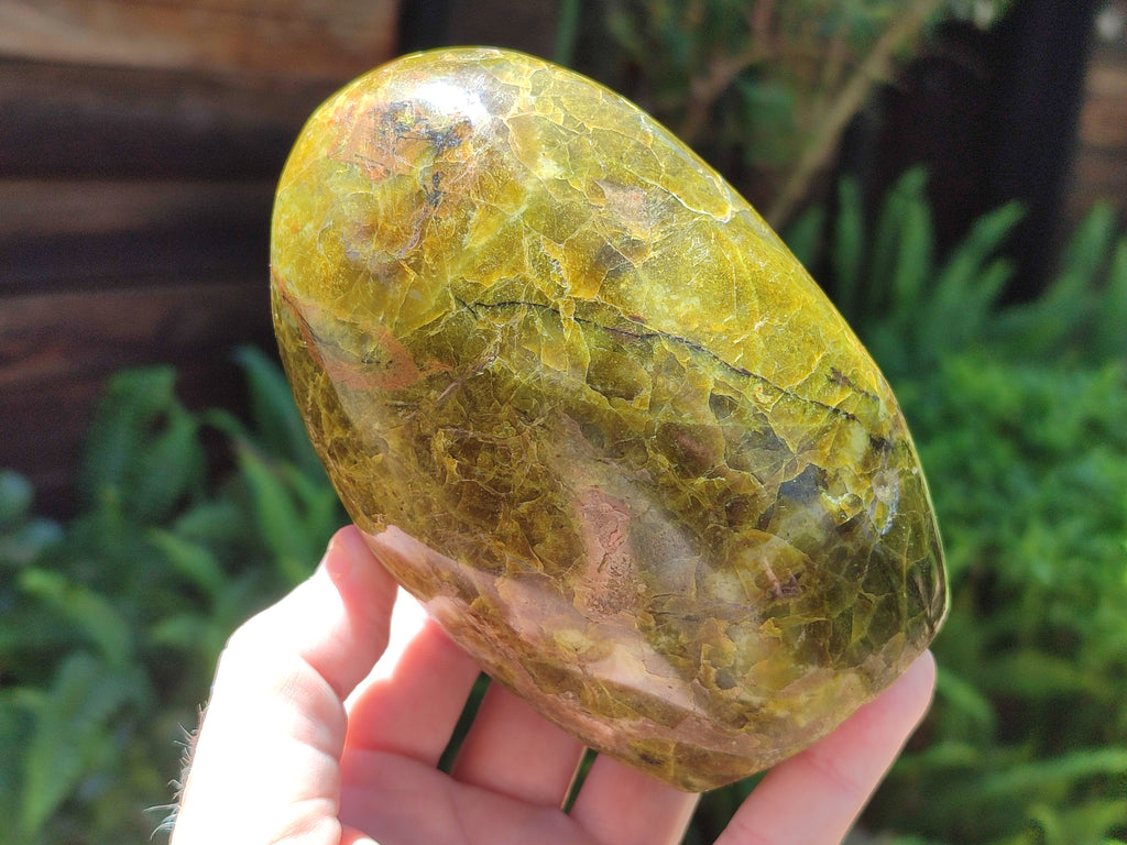 Polished Green Opal Standing Free Forms x 3 From Antsirabe, Madagascar - Toprock Gemstones and Minerals 