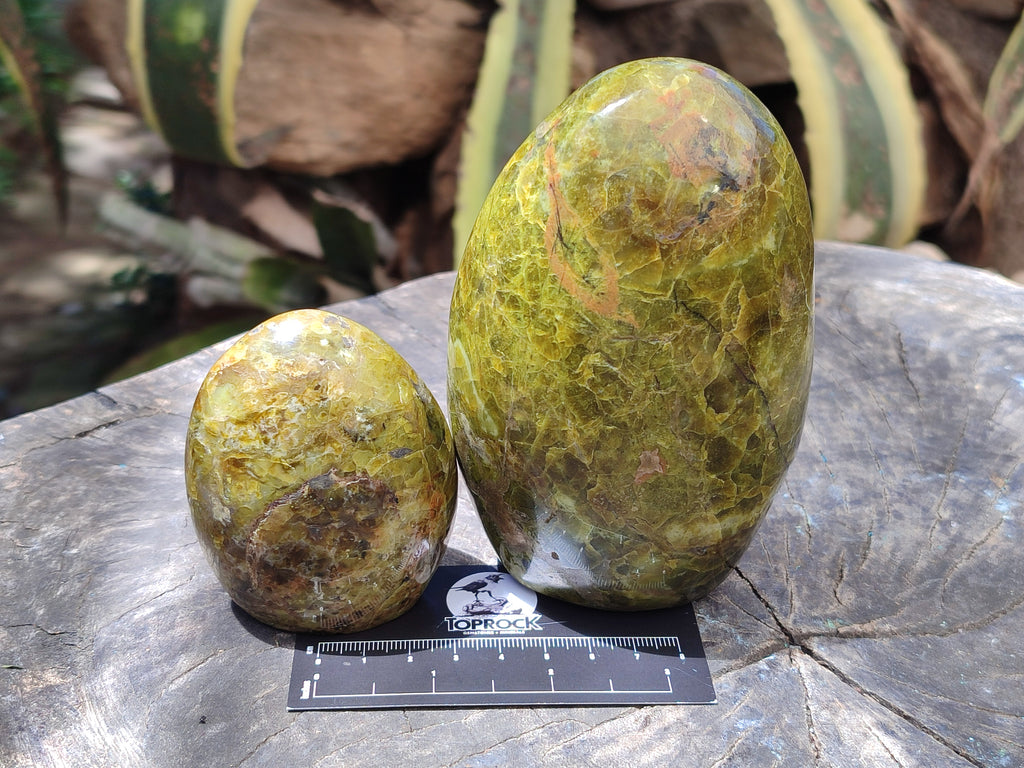 Polished Green Opal Standing Free Forms x 3 From Antsirabe, Madagascar - Toprock Gemstones and Minerals 