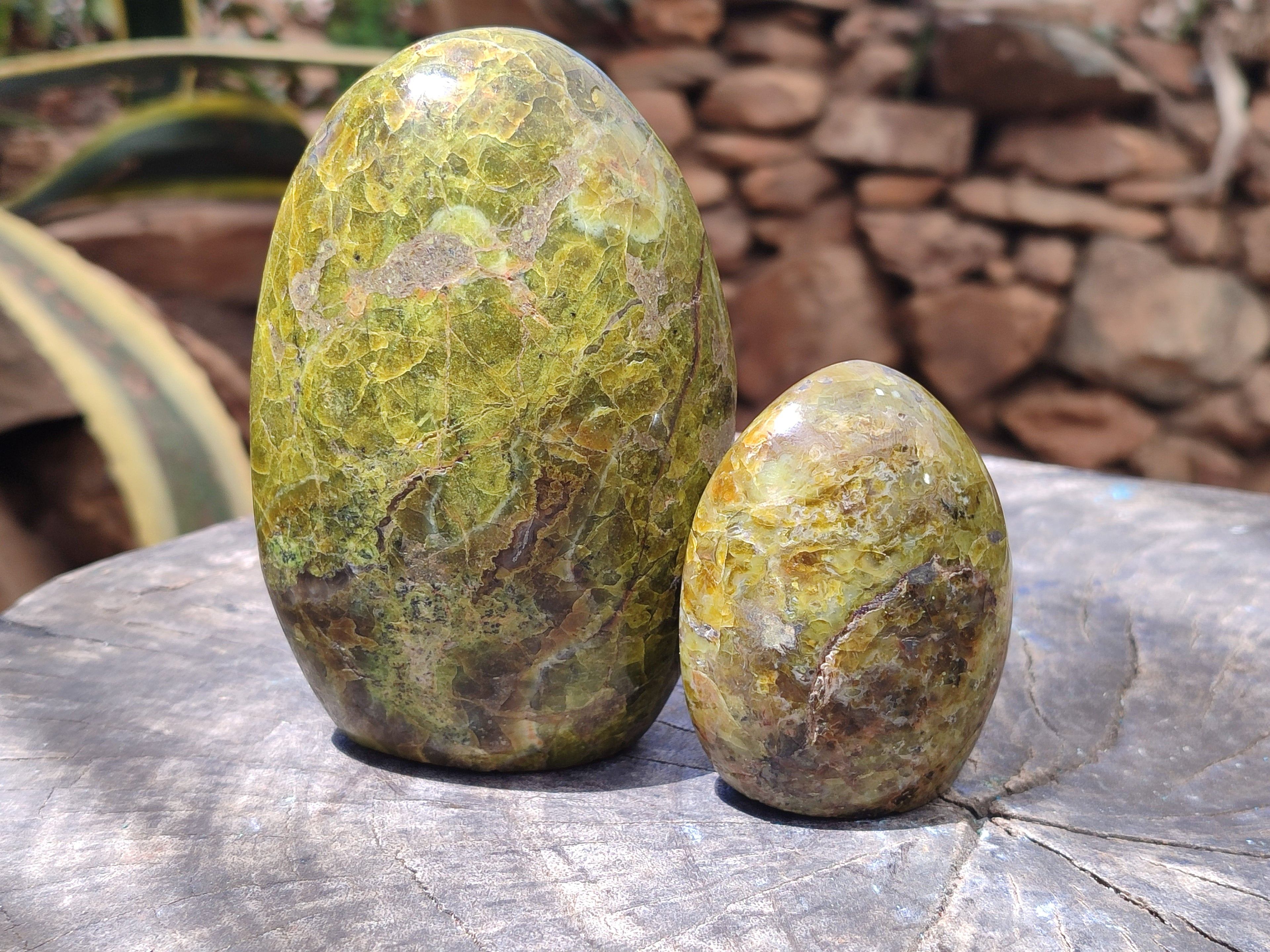 Polished Green Opal Standing Free Forms x 3 From Antsirabe, Madagascar - Toprock Gemstones and Minerals 