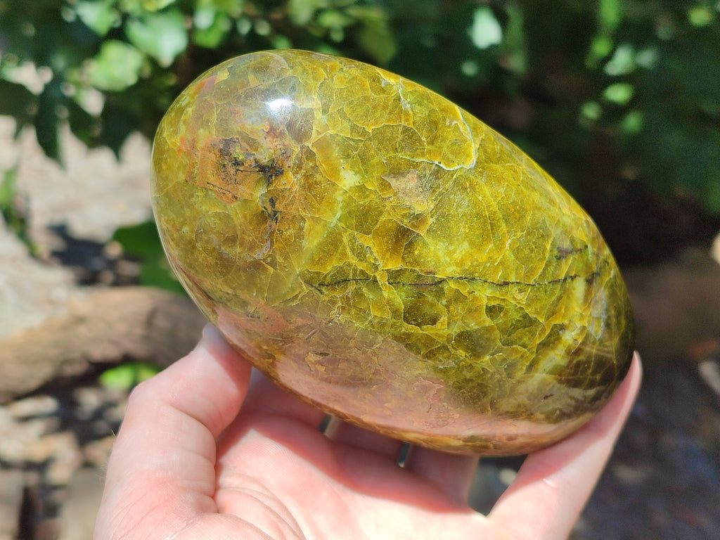 Polished Green Opal Standing Free Forms x 3 From Antsirabe, Madagascar - Toprock Gemstones and Minerals 