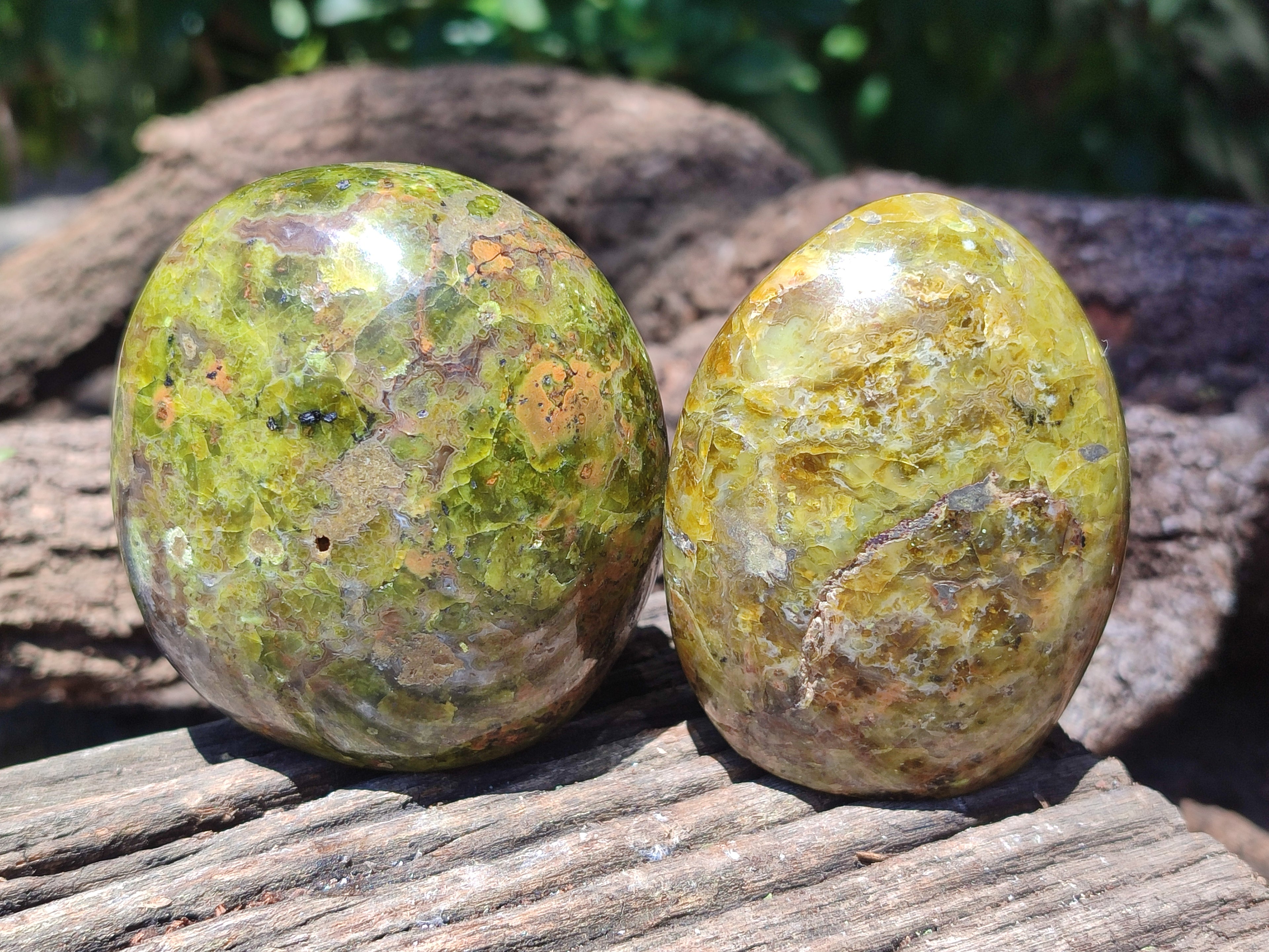 Polished Green Opal Standing Free Forms x 3 From Antsirabe, Madagascar - Toprock Gemstones and Minerals 