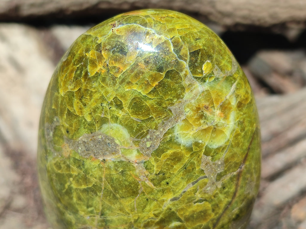 Polished Green Opal Standing Free Forms x 3 From Antsirabe, Madagascar - Toprock Gemstones and Minerals 