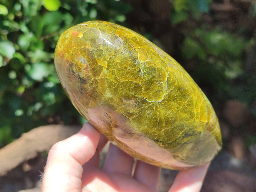 Polished Green Opal Standing Free Forms x 3 From Antsirabe, Madagascar - Toprock Gemstones and Minerals 