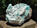 Natural Kaolinite Coated Dolomite On Dioptase Specimen x 1 From Congo - Toprock Gemstones and Minerals 