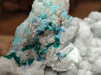 Natural Kaolinite Coated Dolomite On Dioptase Specimen x 1 From Congo - Toprock Gemstones and Minerals 
