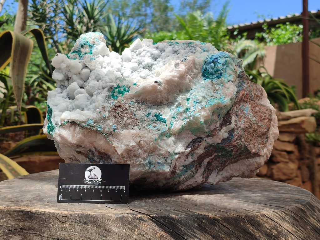 Natural Kaolinite Coated Dolomite On Dioptase Specimen x 1 From Congo - Toprock Gemstones and Minerals 