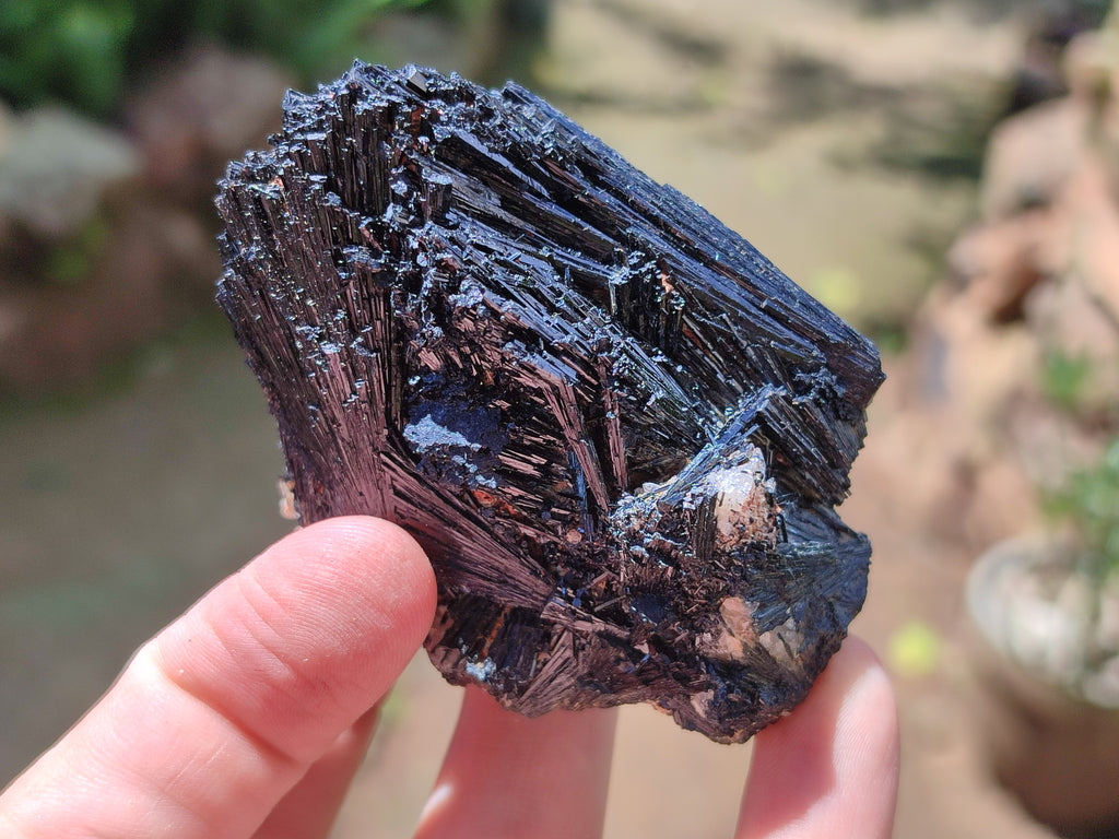 Natural Schorl Black Tourmaline Specimens x 6 From Erongo, Namibia - Toprock Gemstones and Minerals 