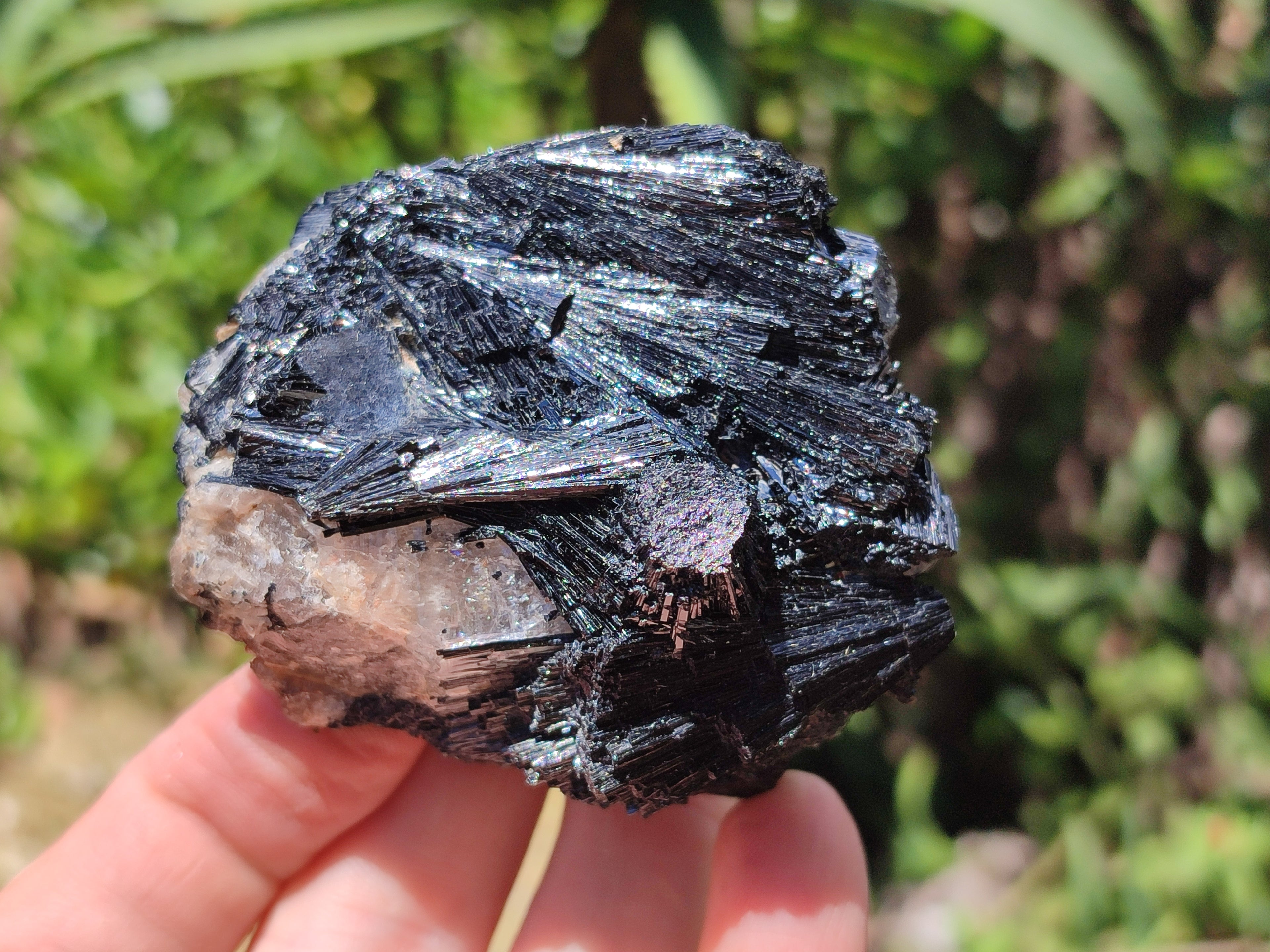 Natural Schorl Black Tourmaline Specimens x 6 From Erongo, Namibia - Toprock Gemstones and Minerals 