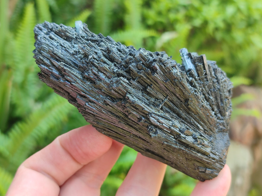 Natural Schorl Black Tourmaline Specimens x 6 From Erongo, Namibia - Toprock Gemstones and Minerals 