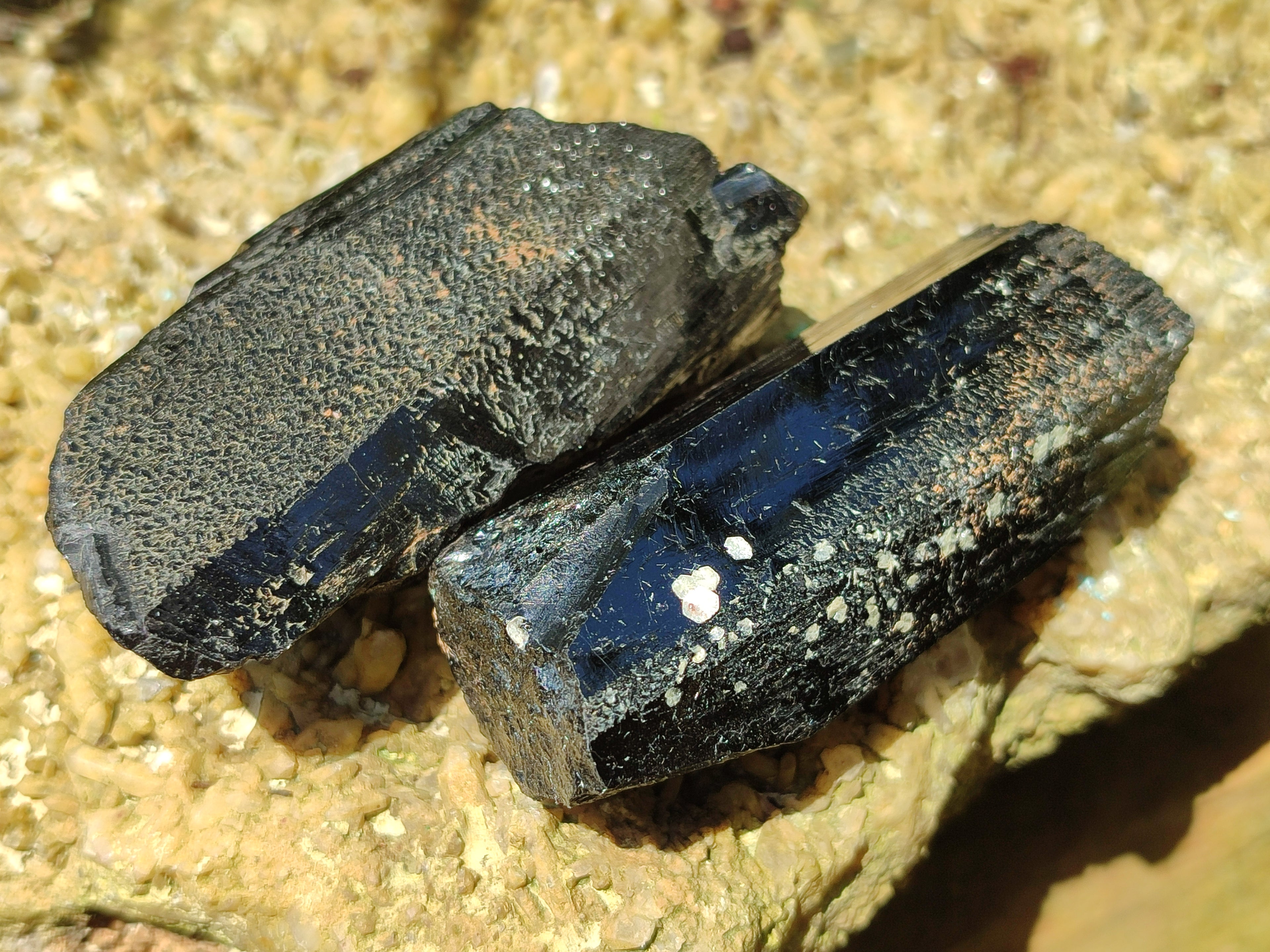 Natural Schorl Black Tourmaline Specimens x 6 From Erongo, Namibia - Toprock Gemstones and Minerals 