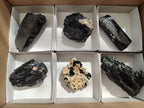 Natural Schorl Black Tourmaline Specimens x 6 From Erongo, Namibia - Toprock Gemstones and Minerals 