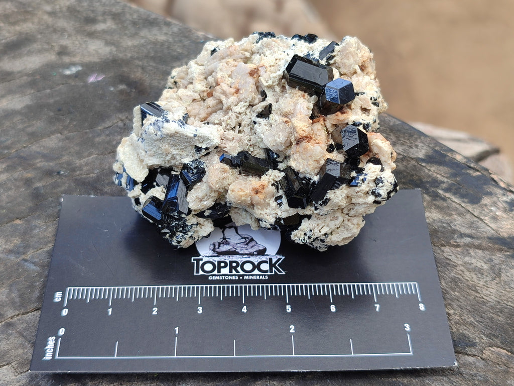 Natural Schorl Black Tourmaline Specimens x 6 From Erongo, Namibia - Toprock Gemstones and Minerals 