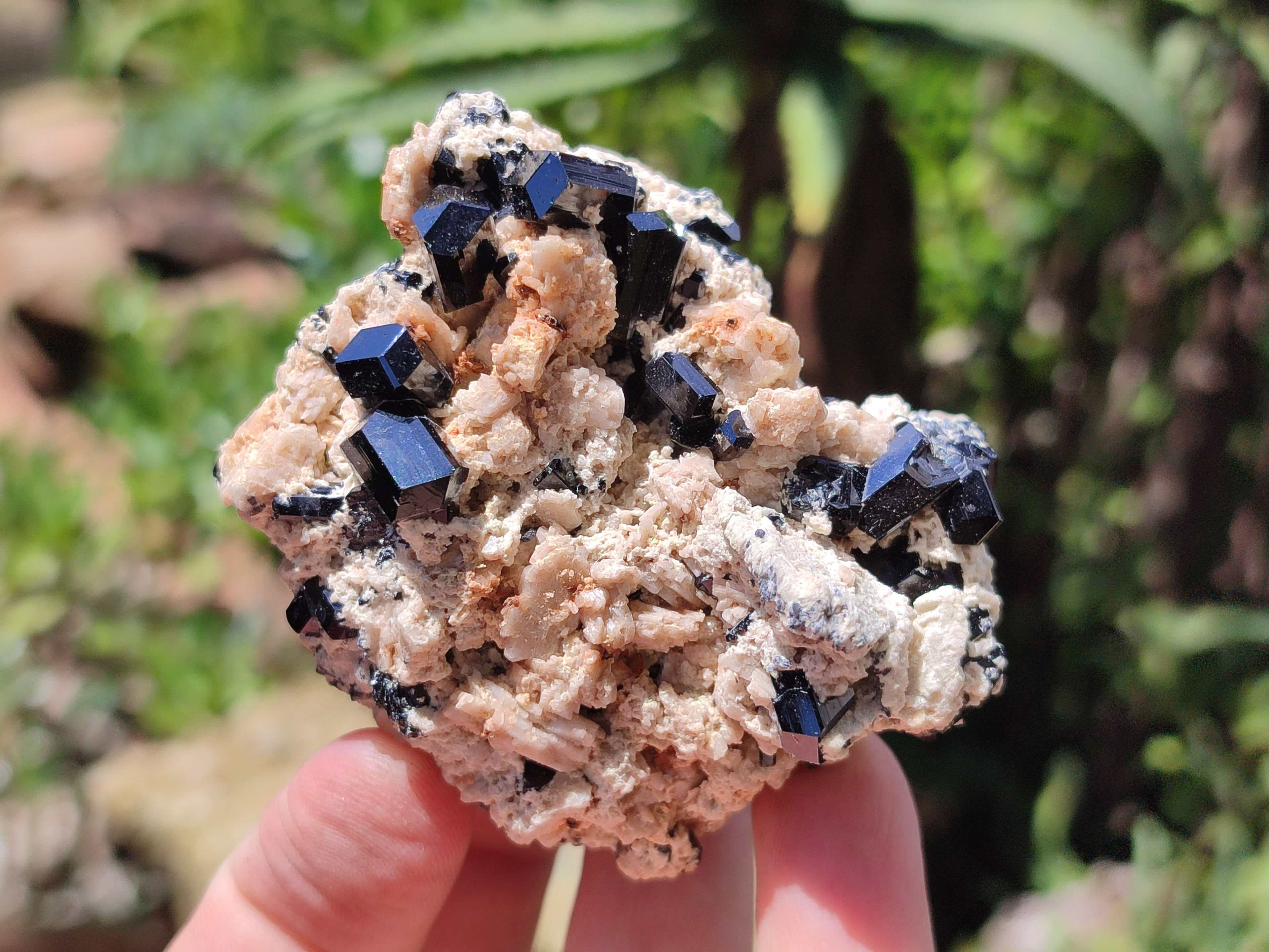 Natural Schorl Black Tourmaline Specimens x 6 From Erongo, Namibia - Toprock Gemstones and Minerals 