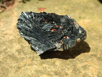 Natural Schorl Black Tourmaline Specimens x 6 From Erongo, Namibia - Toprock Gemstones and Minerals 