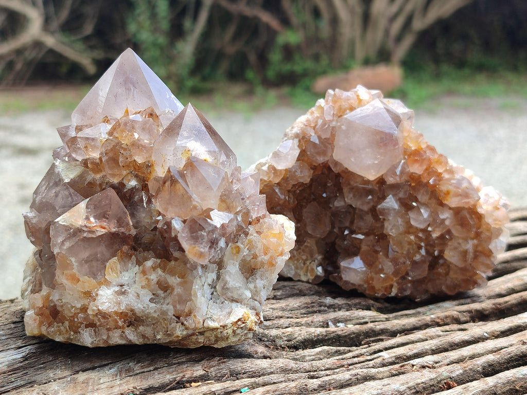 Natural Spirit Quartz Clusters x 4 From Boekenhouthoek, South Africa - Toprock Gemstones and Minerals 