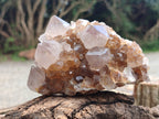 Natural Spirit Quartz Clusters x 4 From Boekenhouthoek, South Africa - Toprock Gemstones and Minerals 