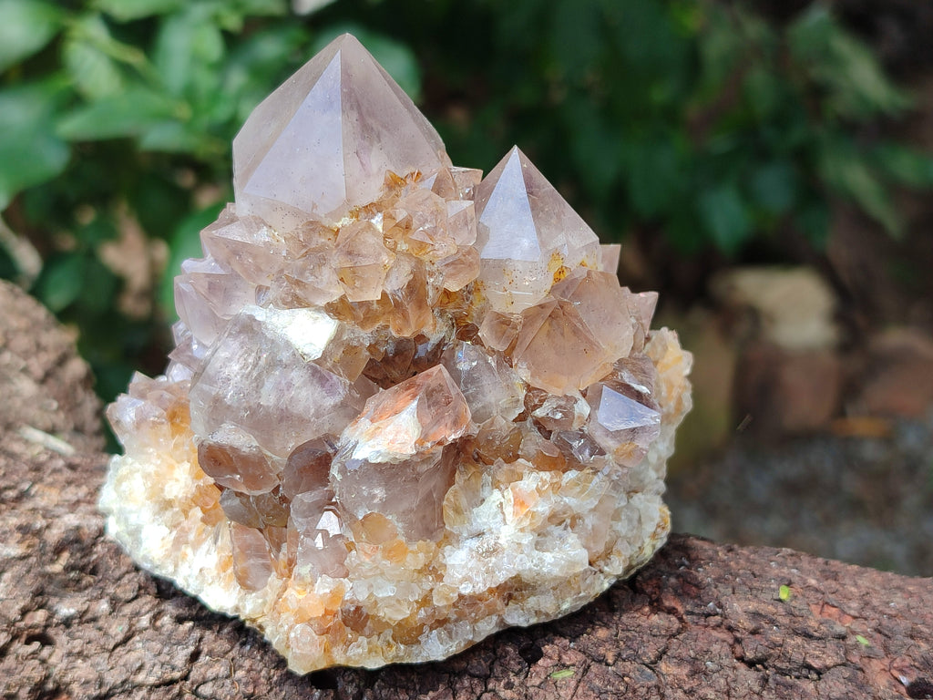 Natural Spirit Quartz Clusters x 4 From Boekenhouthoek, South Africa - Toprock Gemstones and Minerals 