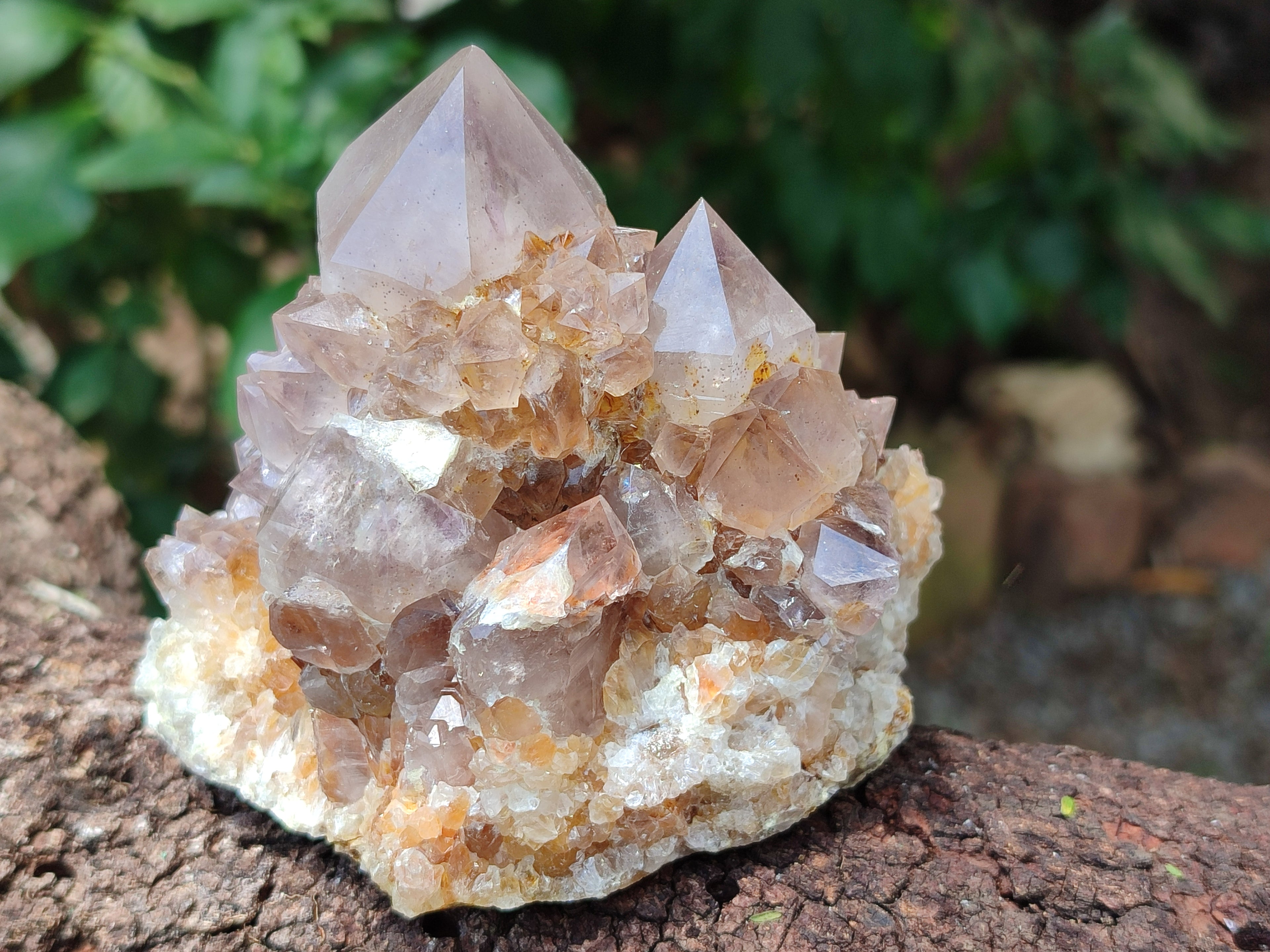 Natural Spirit Quartz Clusters x 4 From Boekenhouthoek, South Africa - Toprock Gemstones and Minerals 