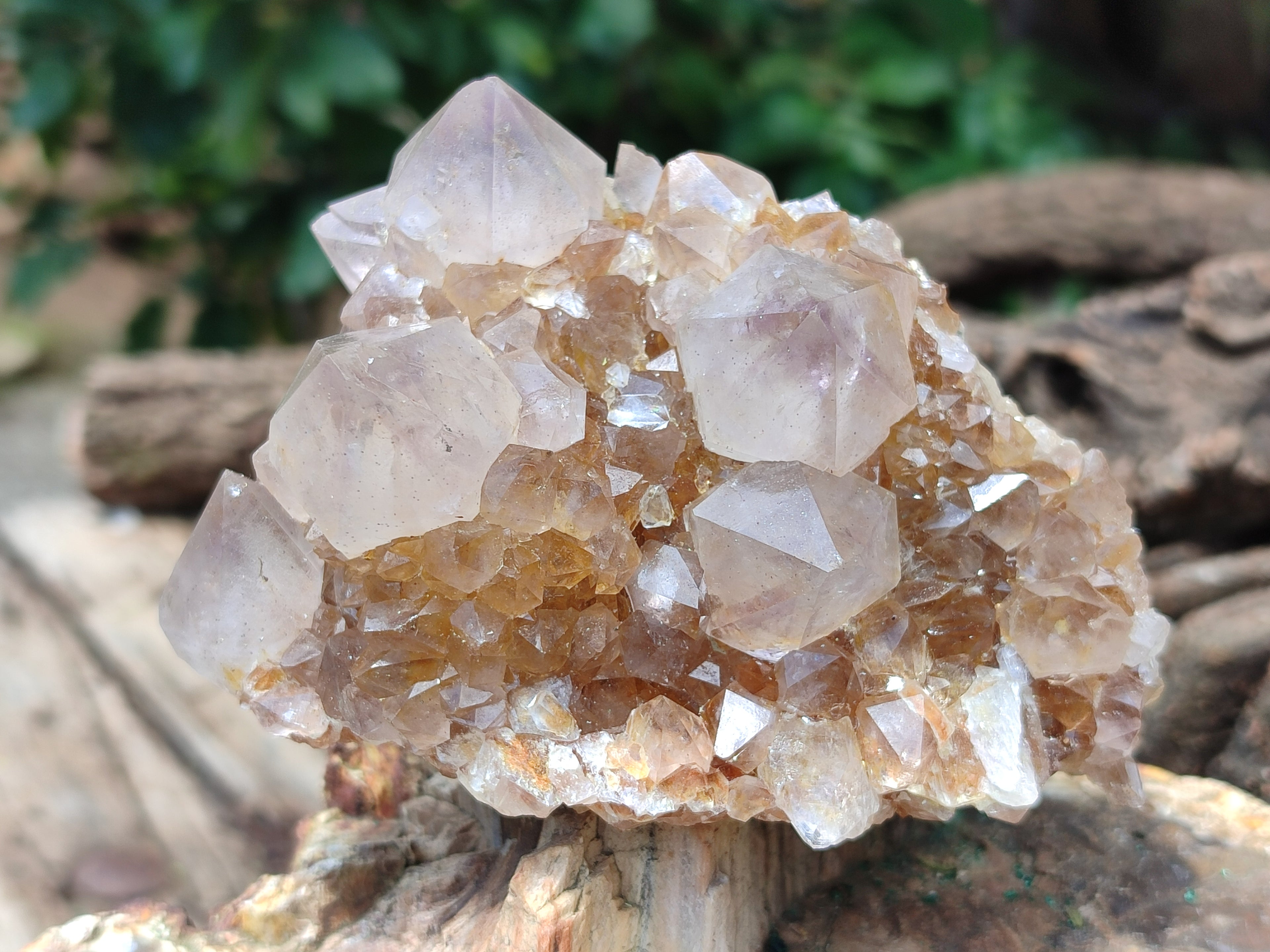 Natural Spirit Quartz Clusters x 4 From Boekenhouthoek, South Africa - Toprock Gemstones and Minerals 