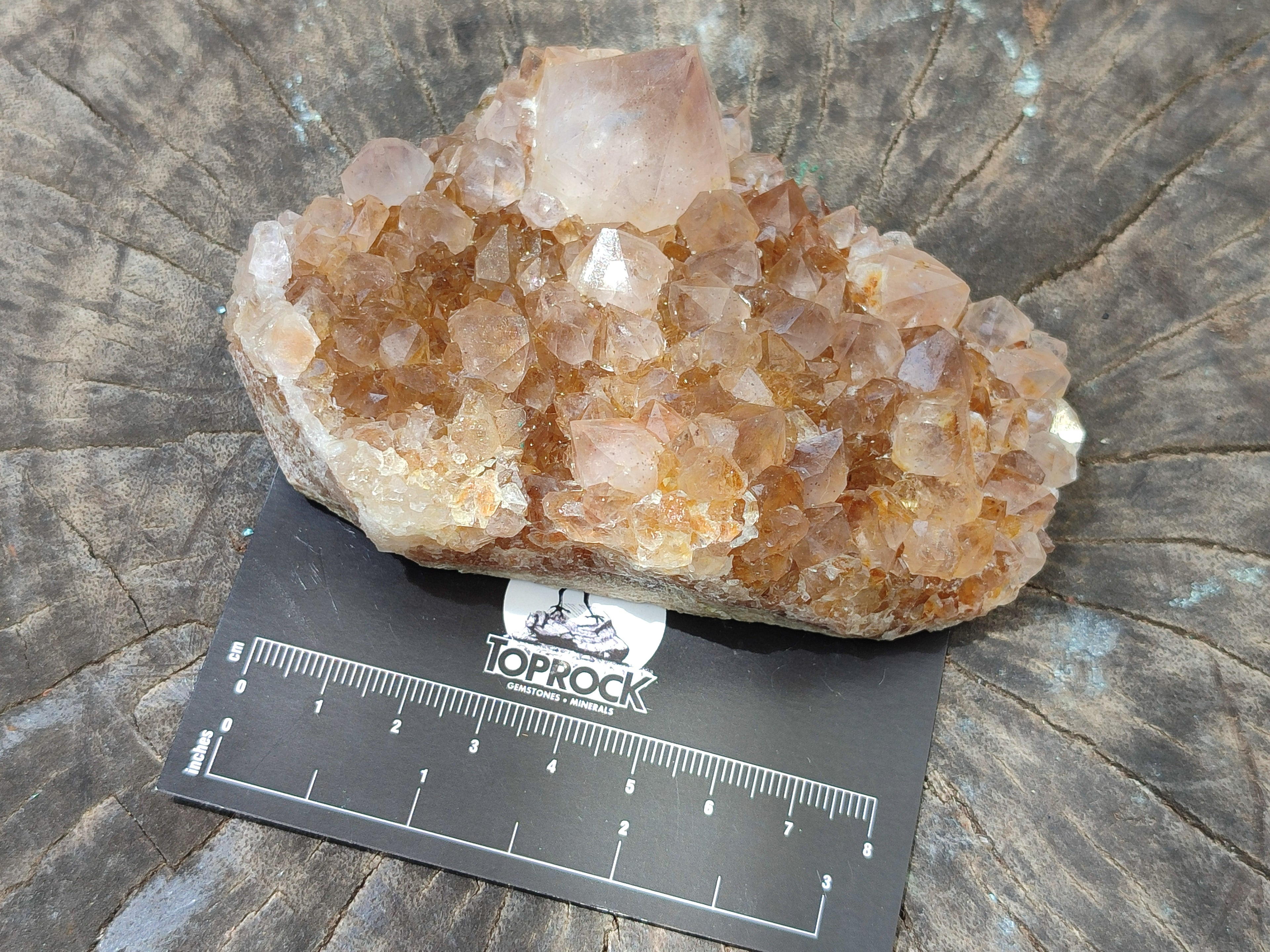 Natural Spirit Quartz Clusters x 4 From Boekenhouthoek, South Africa - Toprock Gemstones and Minerals 