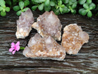 Natural Spirit Quartz Clusters x 4 From Boekenhouthoek, South Africa - Toprock Gemstones and Minerals 