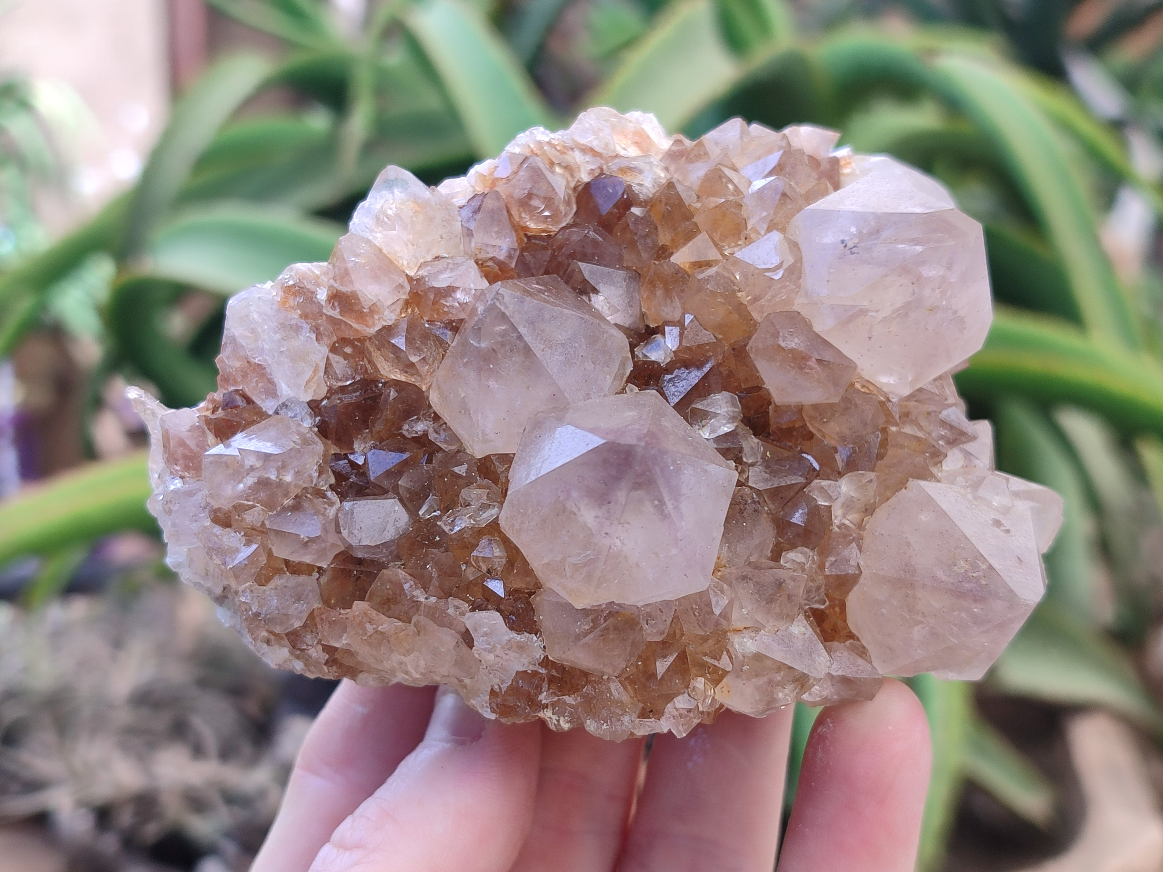 Natural Spirit Quartz Clusters x 4 From Boekenhouthoek, South Africa - Toprock Gemstones and Minerals 