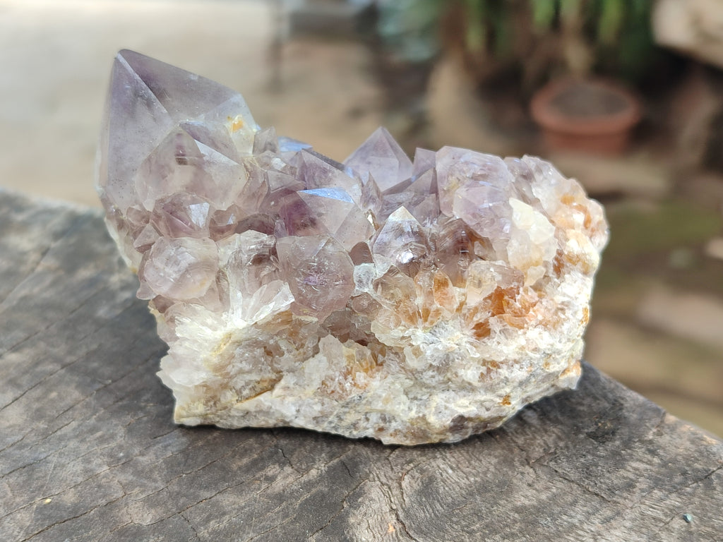 Natural Spirit Quartz Clusters x 4 From Boekenhouthoek, South Africa - Toprock Gemstones and Minerals 