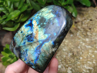 Polished Labradorite Standing Free Forms x 3 From Tulear, Madagascar - Toprock Gemstones and Minerals 