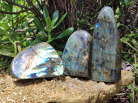 Polished Labradorite Standing Free Forms x 3 From Tulear, Madagascar - Toprock Gemstones and Minerals 