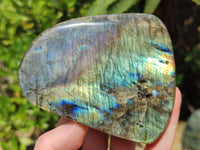 Polished Labradorite Standing Free Forms x 3 From Tulear, Madagascar - Toprock Gemstones and Minerals 