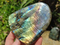 Polished Labradorite Standing Free Forms x 3 From Tulear, Madagascar - Toprock Gemstones and Minerals 