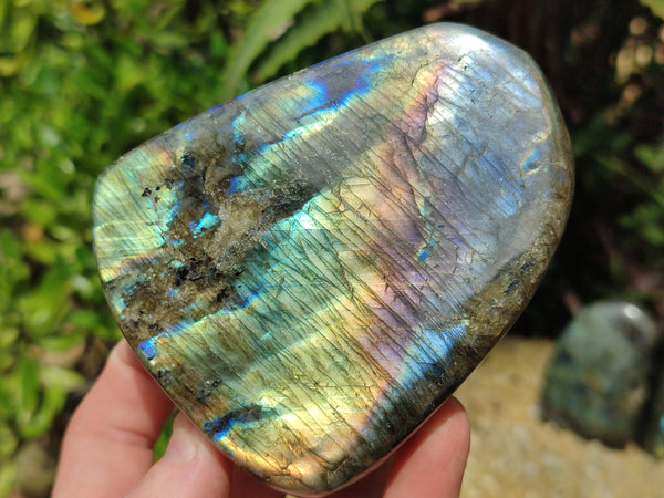 Polished Labradorite Standing Free Forms x 3 From Tulear, Madagascar - Toprock Gemstones and Minerals 
