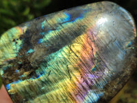 Polished Labradorite Standing Free Forms x 3 From Tulear, Madagascar - Toprock Gemstones and Minerals 