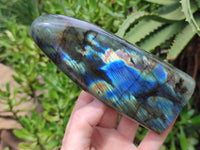 Polished Labradorite Standing Free Forms x 3 From Tulear, Madagascar - Toprock Gemstones and Minerals 