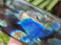 Polished Labradorite Standing Free Forms x 3 From Tulear, Madagascar - Toprock Gemstones and Minerals 