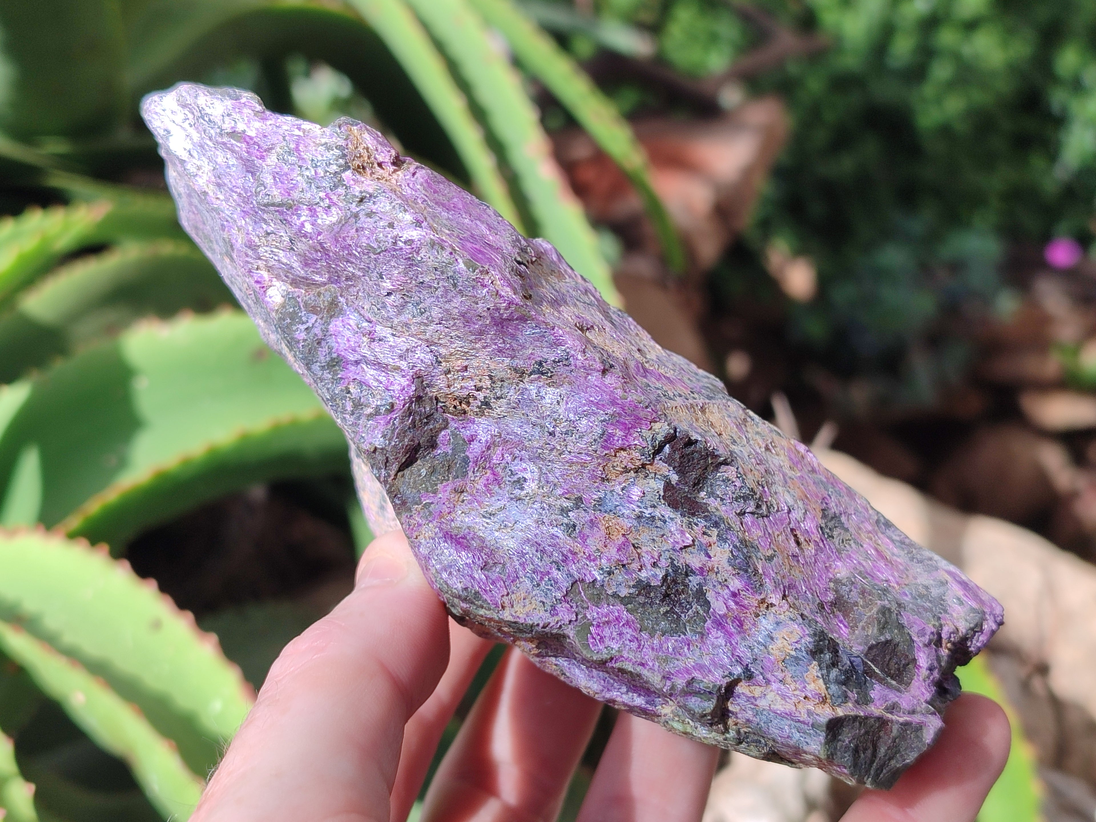 Natural Stichtite Cobbed Specimens x 7 From Barberton, South Africa - Toprock Gemstones and Minerals 