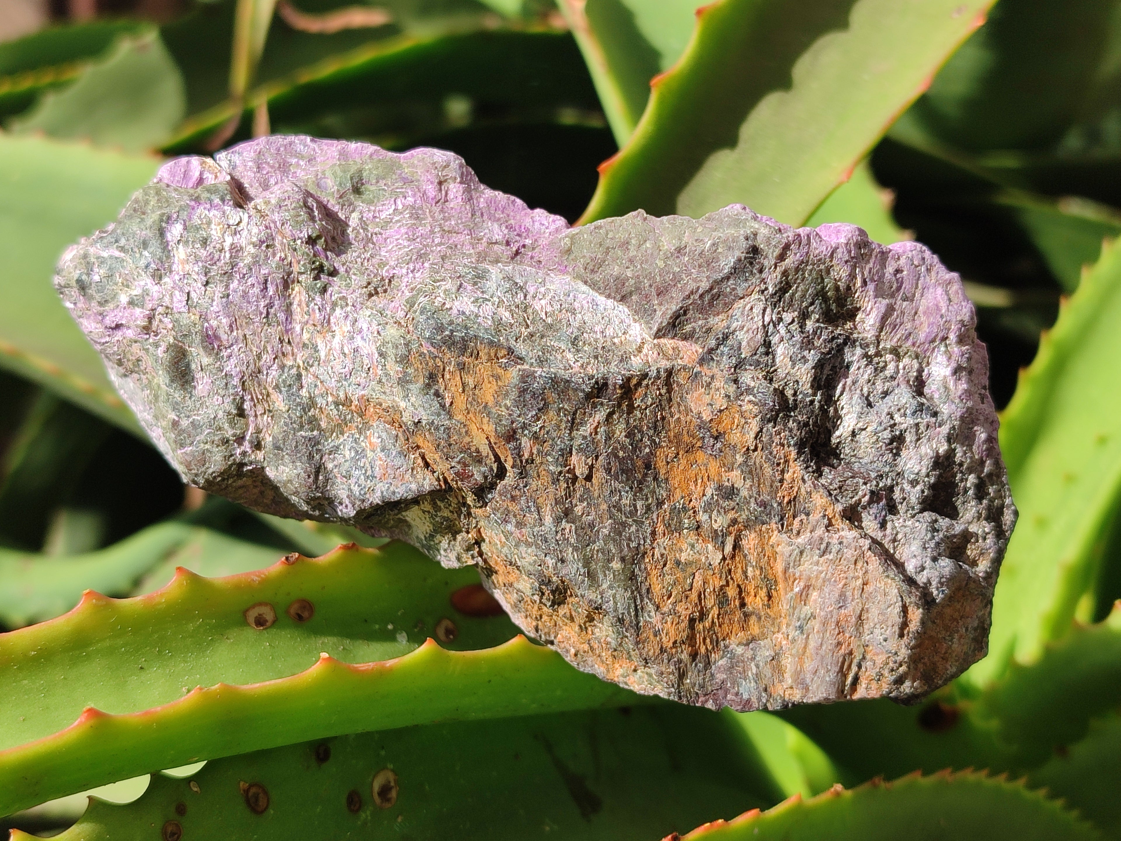 Natural Stichtite Cobbed Specimens x 7 From Barberton, South Africa - Toprock Gemstones and Minerals 