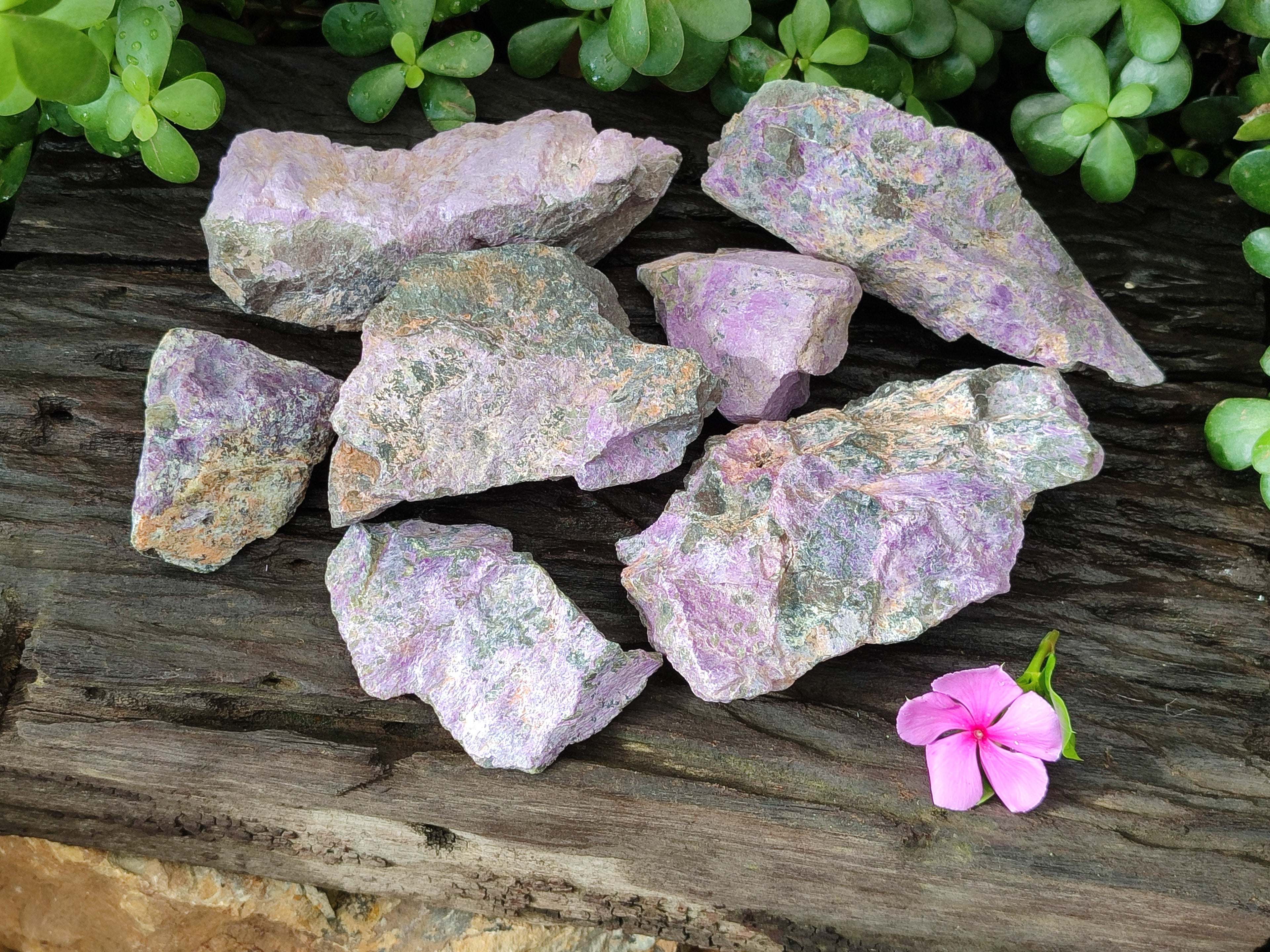 Natural Stichtite Cobbed Specimens x 7 From Barberton, South Africa - Toprock Gemstones and Minerals 