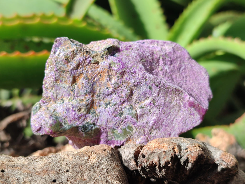 Natural Stichtite Cobbed Specimens x 7 From Barberton, South Africa - Toprock Gemstones and Minerals 