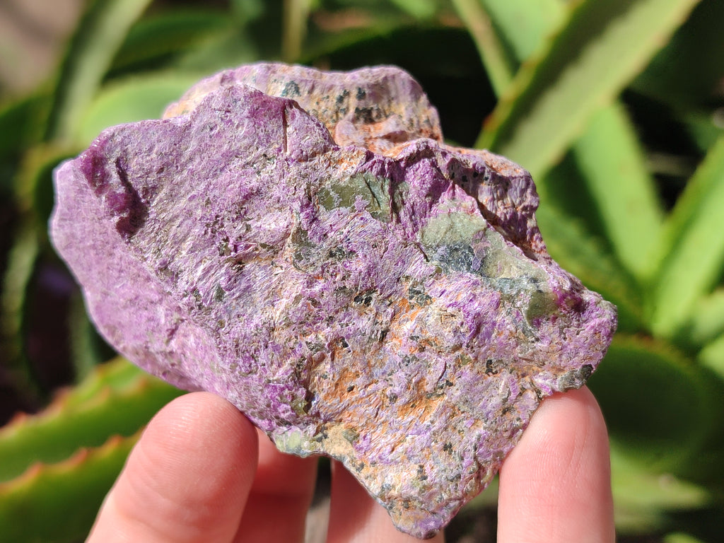 Natural Stichtite Cobbed Specimens x 7 From Barberton, South Africa - Toprock Gemstones and Minerals 