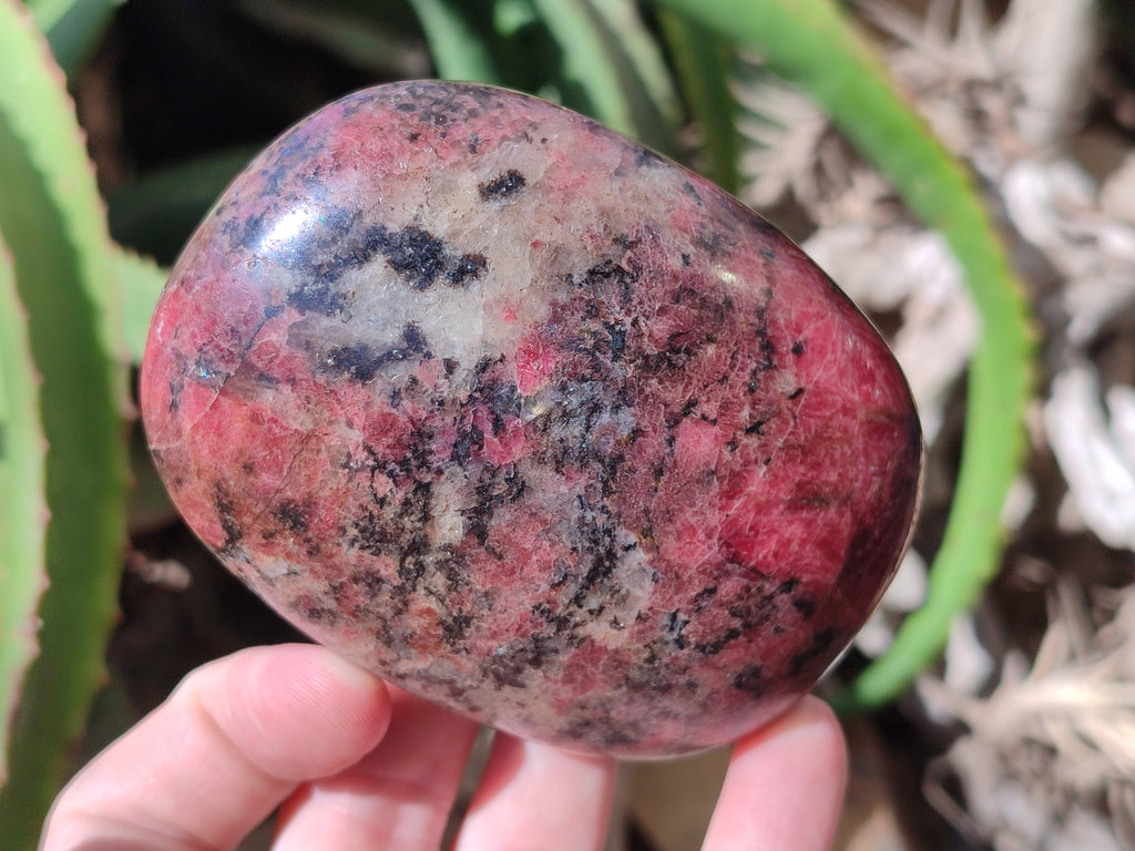 Polished Rhodonite Palm Stones x 3 From Zimbabwe - Toprock Gemstones and Minerals 