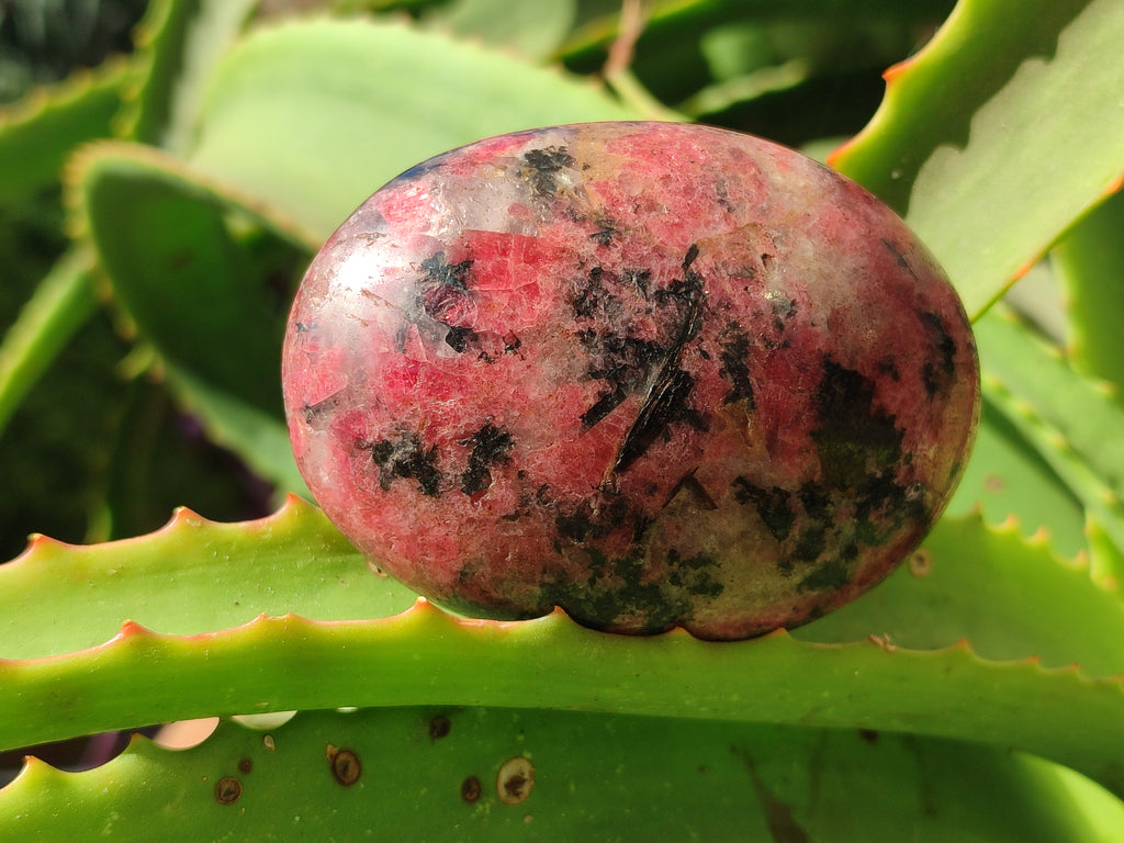 Polished Rhodonite Palm Stones x 3 From Zimbabwe - Toprock Gemstones and Minerals 