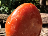 Polished Orange Twist Calcite Standing Free Form x 1 From Madagascar - Toprock Gemstones and Minerals 