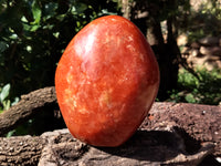 Polished Orange Twist Calcite Standing Free Form x 1 From Madagascar - Toprock Gemstones and Minerals 
