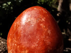 Polished Orange Twist Calcite Standing Free Form x 1 From Madagascar - Toprock Gemstones and Minerals 