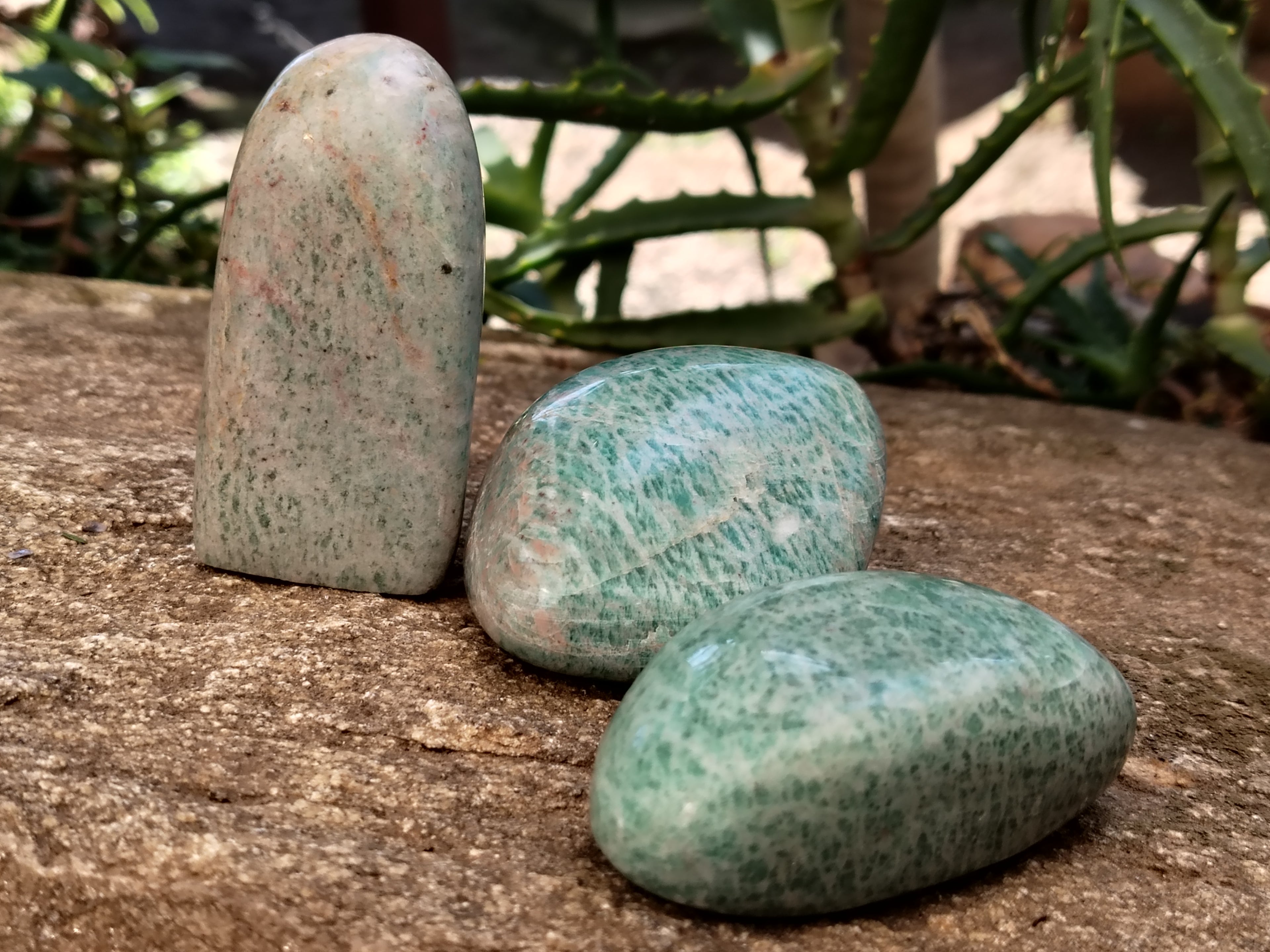 Polished Amazonite Standing Free Forms x 12 from Madagascar - Toprock Gemstones and Minerals 